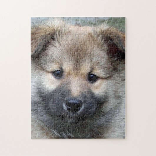 Puzzle Chien de berger islandais 2014-0803 (Vertical)