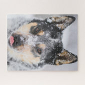 Puzzle Chien de Blue Heeler dans la neige (Horizontal)