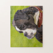 Puzzle Chien de boxe noir et blanc (Vertical)