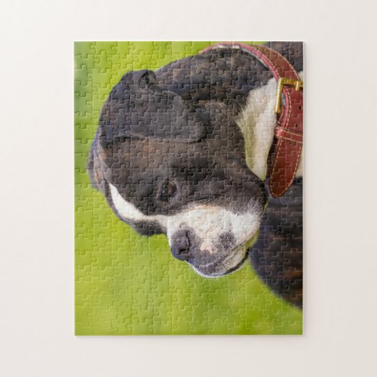 Puzzle Chien de boxe noir et blanc (Vertical)