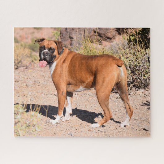 Puzzle Chien de Chien Chien De Chien De Chien De Boxer (Horizontal)