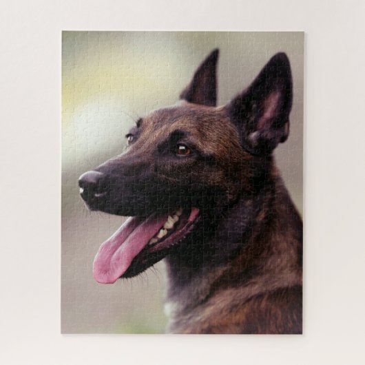 Puzzle Chien de chien de chien de berger malinois (Vertical)
