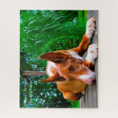 Puzzle Chien de chien Hound du pharaon. (Vertical)
