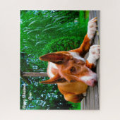 Puzzle Chien de chien Hound du pharaon. (Vertical)