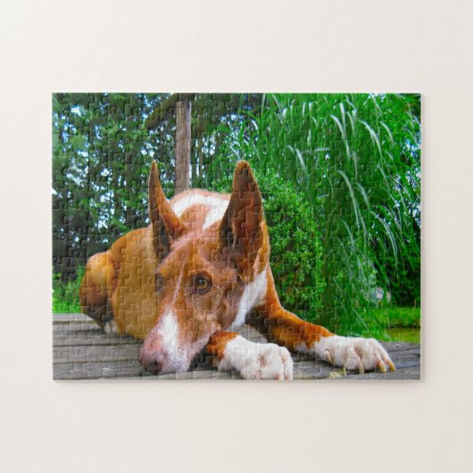Puzzle Chien de chien Hound du pharaon. (Horizontal)