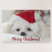 Puzzle Chien de chiot maltais blanc et farci dans un chap (Horizontal)
