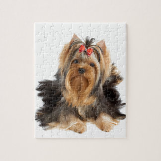 Puzzle Chien de classe d'exposition