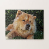 Puzzle Chien de Cute Chow Chow (Horizontal)