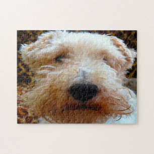 Puzzle Chien de Fox Terrier.
