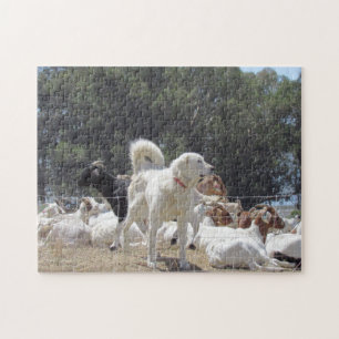Puzzle - Chien de garde et chèvres