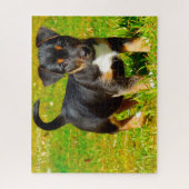 Puzzle Chien de Jack Russell. (Vertical)