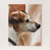 PUZZLE CHIEN DE JACK RUSSELL TERRIER (Vertical)