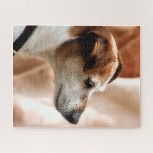 PUZZLE CHIEN DE JACK RUSSELL TERRIER (Horizontal)
