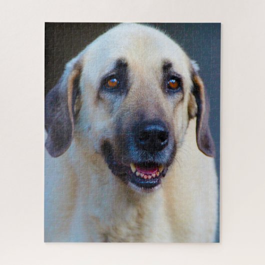 Puzzle Chien de Kangal. (Vertical)