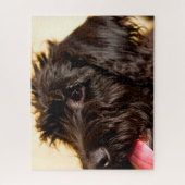 Puzzle Chien de Labradoodle. (Vertical)