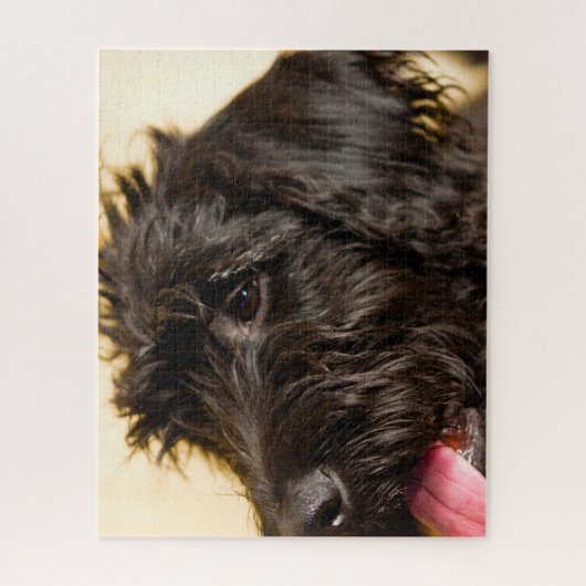 Puzzle Chien de Labradoodle. (Vertical)