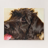 Puzzle Chien de Labradoodle. (Horizontal)