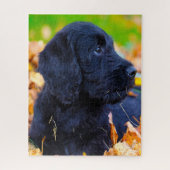 Puzzle Chien de Labradoodle. (Vertical)