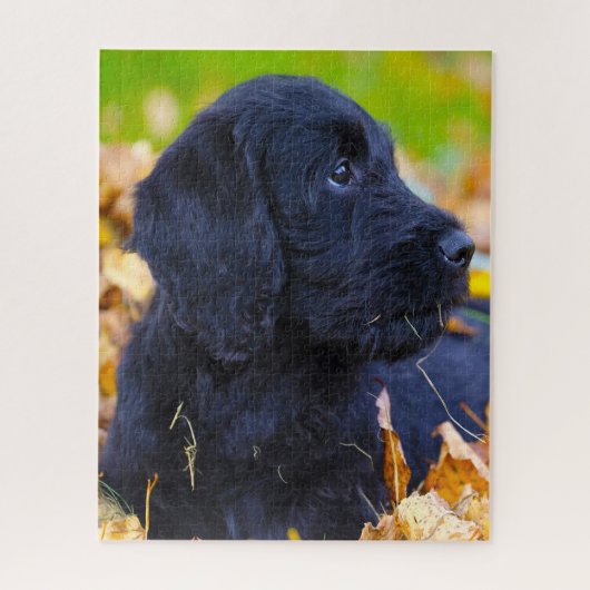 Puzzle Chien de Labradoodle. (Vertical)