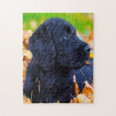 Puzzle Chien de Labradoodle. (Vertical)