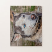 Puzzle Chien de l'Alaska Huskey. (Vertical)