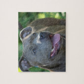 Puzzle Chien de Pitbull (Vertical)