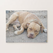 Puzzle Chien de Pitbull Terrier (Horizontal)