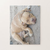 Puzzle Chien de Pitbull Terrier (Vertical)