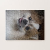 Puzzle Chien de Pomeranian (Horizontal)