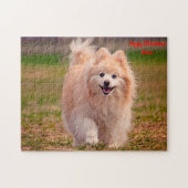 Puzzle Chien de Poméranie. (Horizontal)