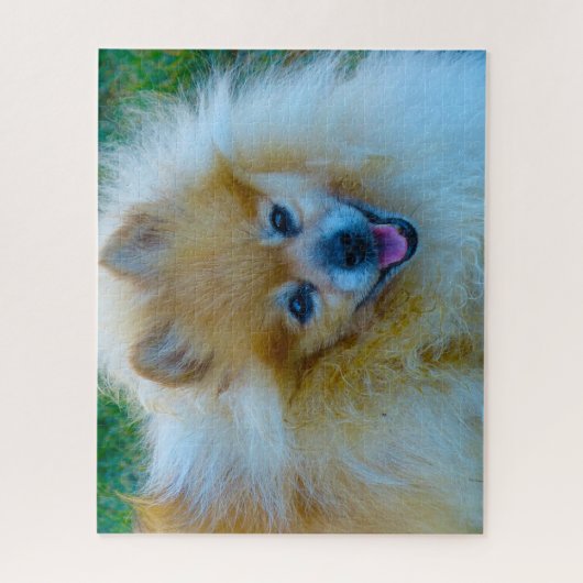 Puzzle Chien de Poméranie. (Vertical)