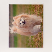 Puzzle Chien de Poméranie. (Vertical)