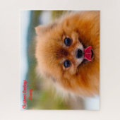 Puzzle Chien de Poméranie. (Vertical)