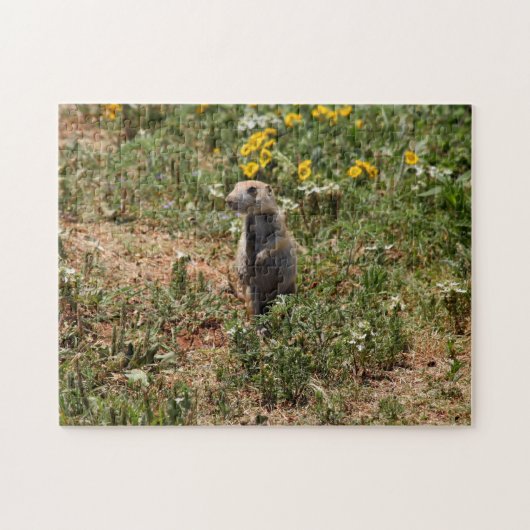 Puzzle Chien de Prairie (Horizontal)