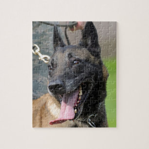 Puzzle Chien de sourire de Malinois de Belge