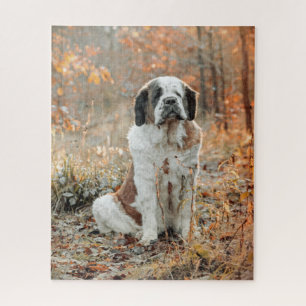 Puzzle Chien de St Bernard dans la forêt d'automne