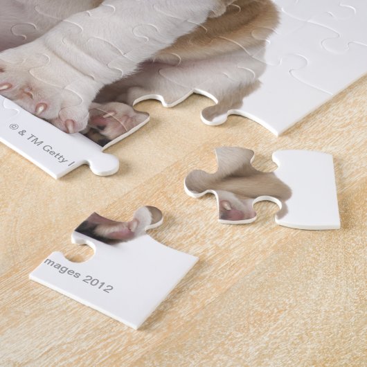 Puzzle Chien de taureau anglais (2 mois) (Côté)