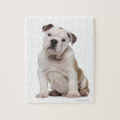 Puzzle Chien de taureau anglais (2 mois) (Vertical)