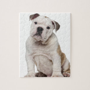 Puzzle Chien de taureau anglais (2 mois)