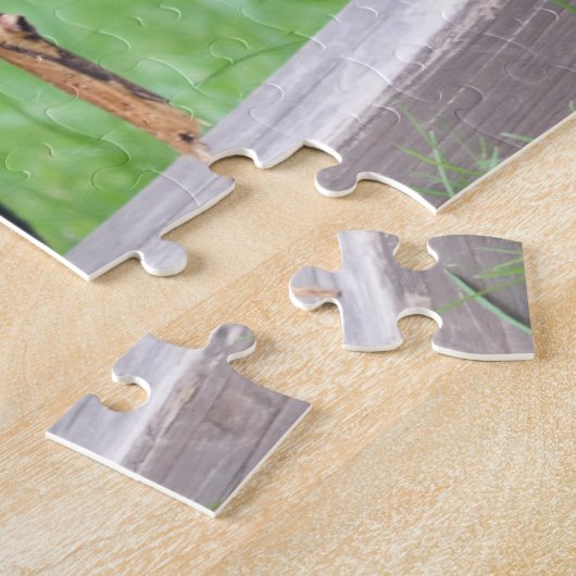 Puzzle Chien de taureau français (Côté)