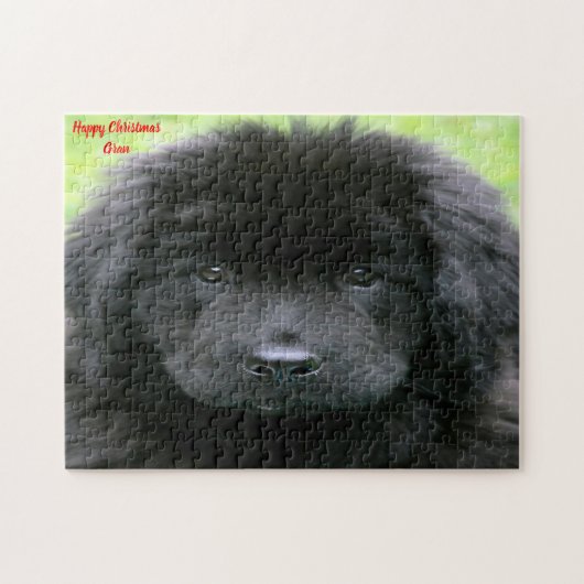 Puzzle Chien de Terre-Neuve. (Horizontal)