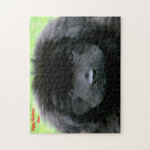 Puzzle Chien de Terre-Neuve. (Vertical)