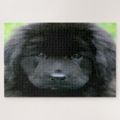 Puzzle Chien de Terre-Neuve. (Horizontal)