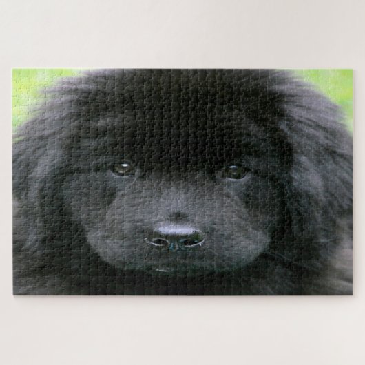 Puzzle Chien de Terre-Neuve. (Horizontal)