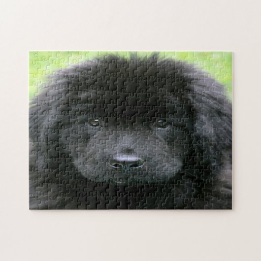 Puzzle Chien de Terre-Neuve. (Horizontal)