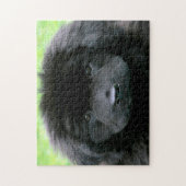 Puzzle Chien de Terre-Neuve. (Vertical)