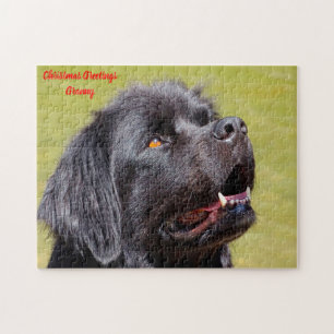 Puzzle Chien de Terre-Neuve.