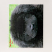 Puzzle Chien de Terre-Neuve. (Vertical)