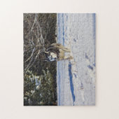 Puzzle Chien de traîneau sibérien dans la neige (Vertical)