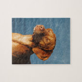 Puzzle Chien de Vizsla - chien hongrois (Horizontal)
